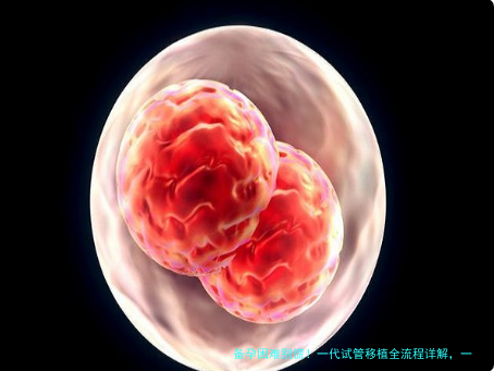 备孕困难别慌！一代试管移植全流程详解，一步步带你走出困境