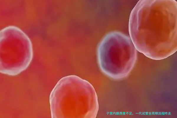 子宫内膜厚度不足，一代试管全周期流程咋走？这些经验你得知道
