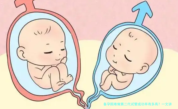 备孕困难做第二代试管成功率有多高？一文讲透真实数据与影响因素
