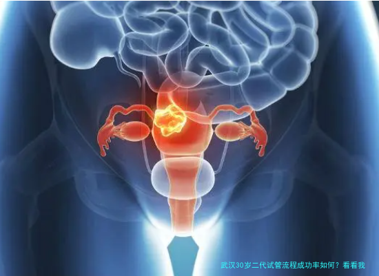 武汉30岁二代试管流程成功率如何？看看我的真实记录