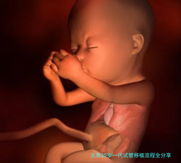 北京35岁一代试管移植流程全分享