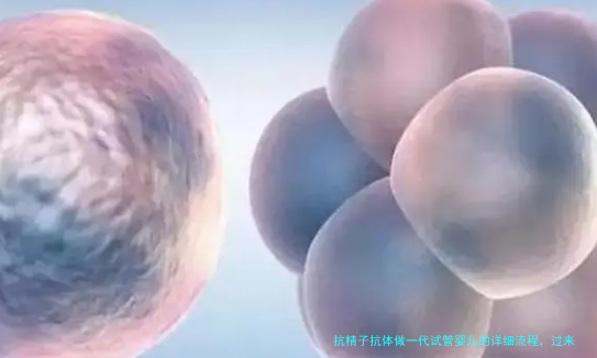 抗精子抗体做一代试管婴儿的详细流程，过来人经验分享