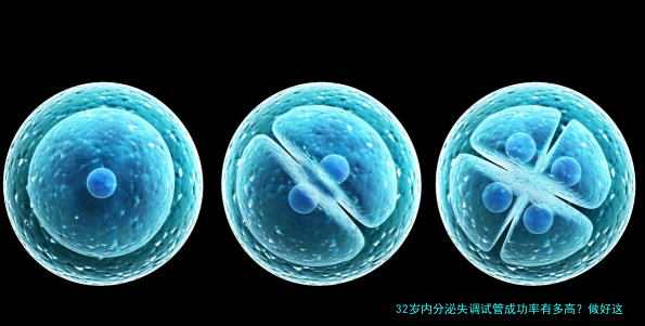 32岁内分泌失调试管成功率有多高？做好这几点，照样有戏