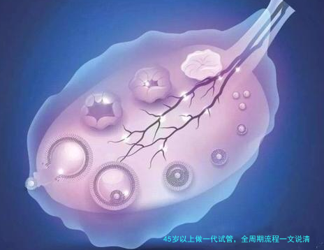 45岁以上做一代试管，全周期流程一文说清