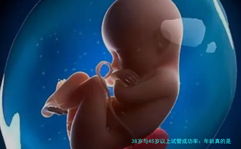 38岁与45岁以上试管成功率：年龄真的是“一道坎”吗？