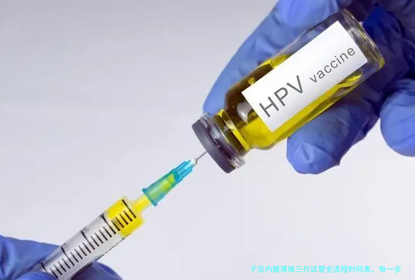 子宫内膜薄做三代试管全流程时间表,每一步都给你说明白