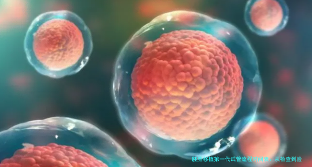 胚胎移植第一代试管流程时间表:从检查到验孕,每一步都给你捋清楚
