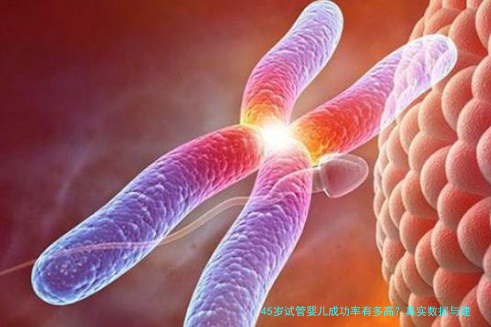 45岁试管婴儿成功率有多高?真实数据与建议