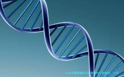 45岁试管移植后可以侧躺吗？别焦虑，一文讲透