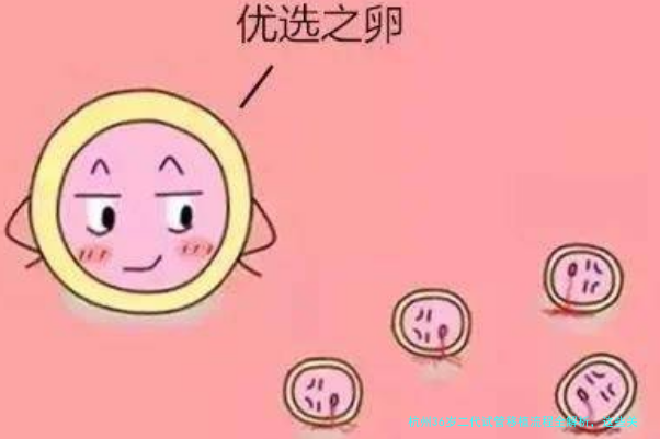 杭州36岁二代试管移植流程全解析，这些关键步骤别错过