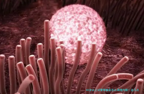 40岁以上试管移植前怎么调理内膜？这几点很关键