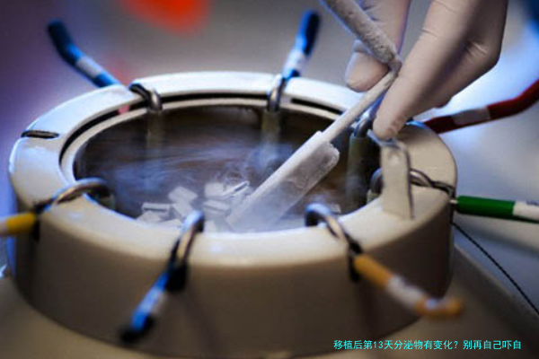 移植后第13天分泌物有变化？别再自己吓自己，这些情况得分清