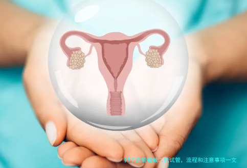 卵子质量差做二代试管，流程和注意事项一文说透