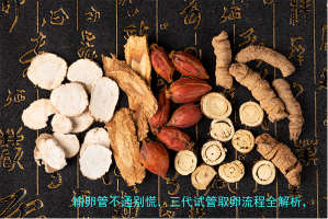 输卵管不通别慌，三代试管取卵流程全解析，一次说清楚