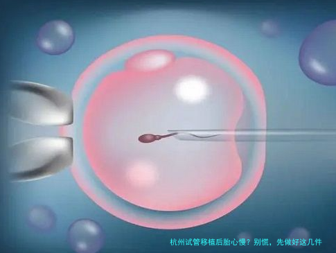 杭州试管移植后胎心慢？别慌，先做好这几件事