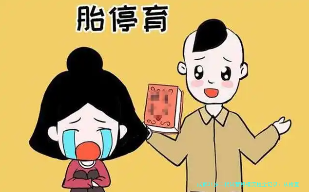 成都31岁二代试管移植流程全记录：从检查到好孕，一步都没落下