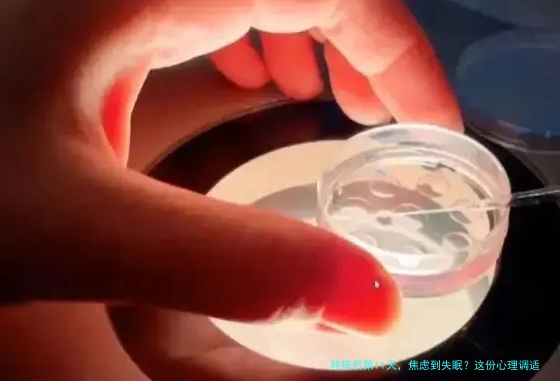移植后第11天，焦虑到失眠？这份心理调适指南请收好