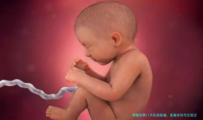 移植后第11天乳房胀痛，是着床信号还是空欢喜一场？