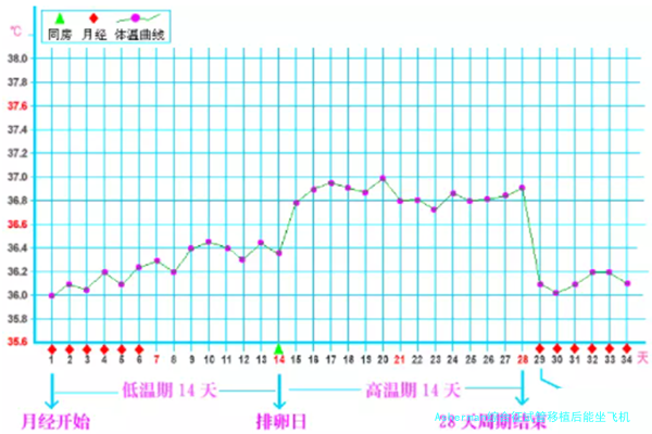 Asherman综合征试管移植后能坐飞机吗？先想清楚这4点