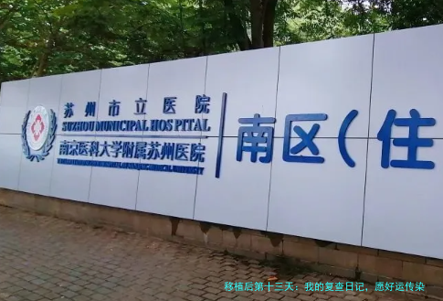 移植后第十三天：我的复查日记，愿好运传染给你