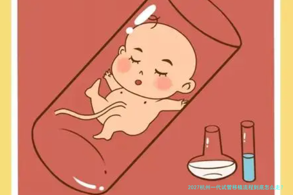 2027杭州一代试管移植流程到底怎么走?这份避坑攻略把细节说透了