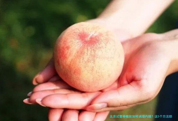 北京试管移植前如何调理内膜？这5个方法助你提高着床率