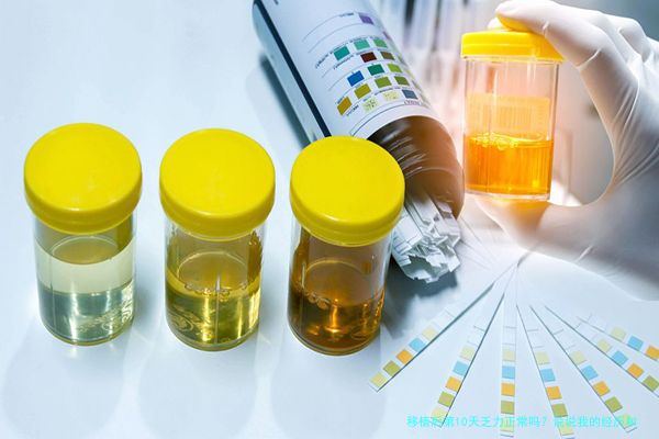 移植后第10天乏力正常吗？说说我的经历和医生告诉我的真相