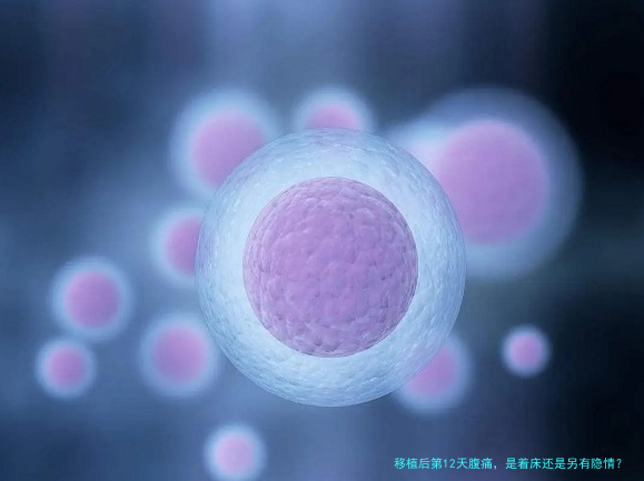 移植后第12天腹痛,是着床还是另有隐情?别慌,先看看这几点