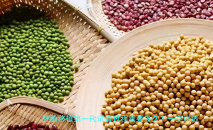 胚胎移植第一代试管过程需要多久？一文讲透全流程时间线