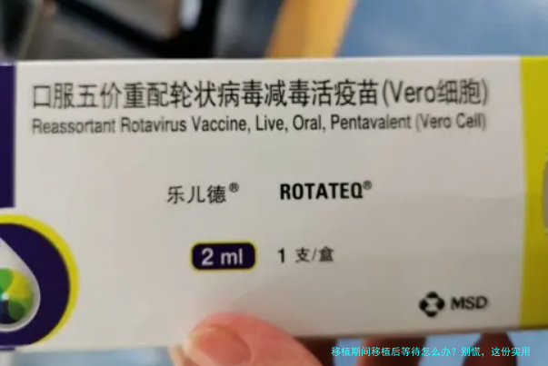 移植期间移植后等待怎么办？别慌，这份实用指南帮你稳住心态