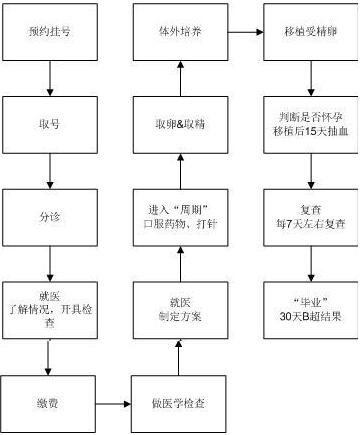 试管婴儿流程图