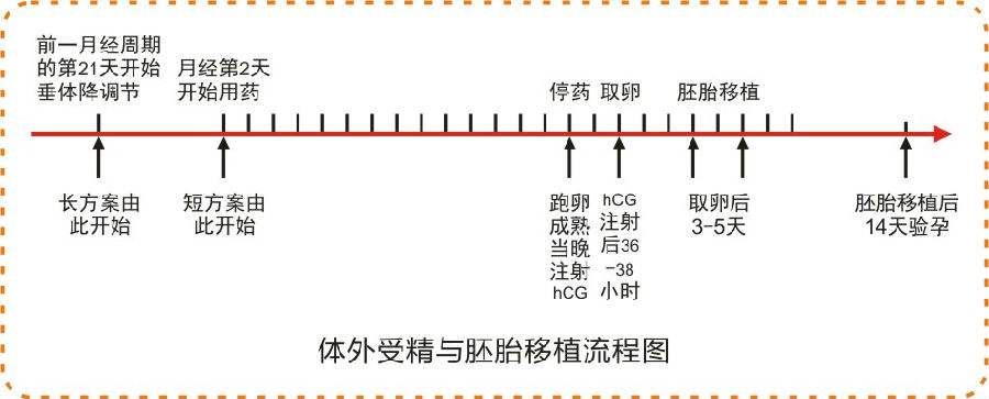 试管婴儿一次要多久