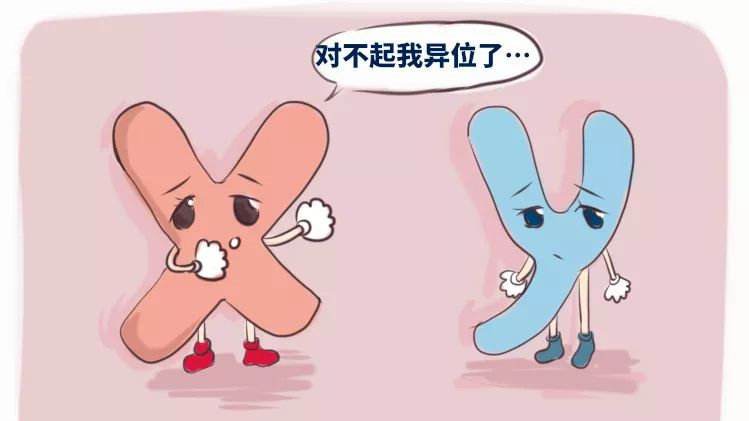 试管婴儿生化