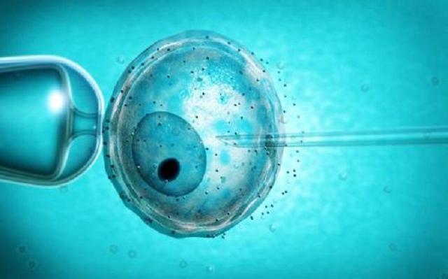 第二代试管婴儿卵胞浆内单精子注射