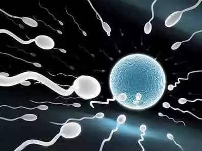 做二代试管对精子的要求