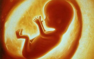 胚胎移植条件