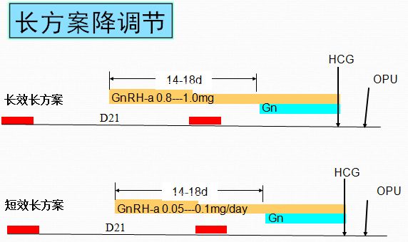 试管婴儿长方案