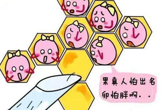 试管婴儿取卵