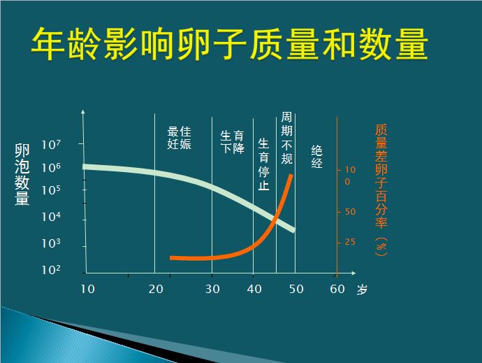 做试管婴儿成功率多大